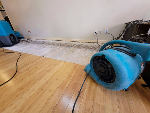 Professional Basement Flood Cleanup technician working in Plymouth, FL
